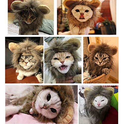 Halloween pet headwear,Lion Mane Wig for Cat Dog Accessories,Adjustable Washable Comfortable Fancy Lion Hair kitty puppy Ears cute Beauty decoration for Christmas Party (M, Brown)
