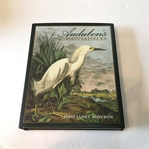 Amazon.com: Bird: 9780811870986: Zuckerman, Andrew: Books