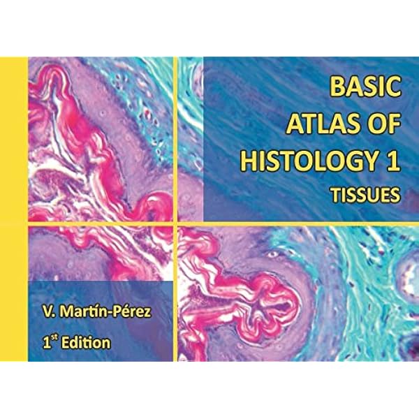 Wheater's Functional Histology: A Text and Colour Atlas, 5th