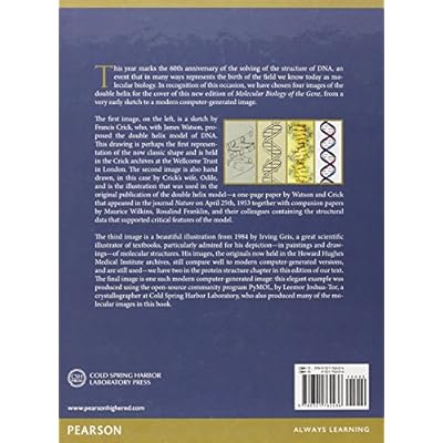 Molecular Biology of the Gene (7th Edition) eBook PDF Download Molecular Biology of the Gene (7th Edition) PDF