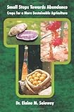 Small Steps Towards Abundance : Crops for a More Sustainable Agriculture, Soloway, Elaine, 0974119016