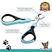 Best Stainless Steel Dog Nail Clippers & Trimmers for Small Breed Dogs, Cats, and Pets With Safety Angled Blade by Green Street Pet Basics