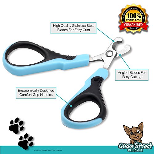 Best Stainless Steel Dog Nail Clippers & Trimmers for Small Breed Dogs