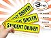 Bigtime Designs SD10 New Student Driver Magnet Car Signs for The Novice or Beginner, Better Than a Decal or Bumper Sticker Reflective Magnetic, Large, 12