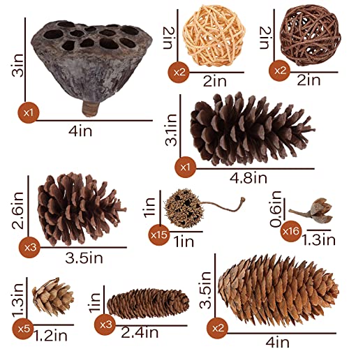 JOHOUSE 50PCS Natural Pinecones, Pinecone Ornaments Decorative Pinecones Assortment for Fall Winter Christmas Bowl Fillers
