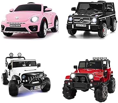 Car,12V Battery Charger for Ride on 