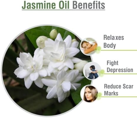 Jasmine (Jasminun officinale) Natural Pure Undiluted Uncut Carrier Oil 15ml, 15 ml (Pack of 1) - Image 4