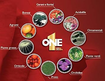 Nutri One One - Abono concentrado para plantas y flores, 1 litro ...