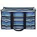 All Purpose Utility Tote Bag (Blue & Green Striped)