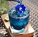 Zi Chun Teas - USDA Organic Butterfly Pea Flower Tea from Thailand, Vibrant Blue Color Changing Ancient Herbal Beverage. Supports Anti Aging, Memory Retention, Autophagy - 3.5 Ounce Resealable Bag