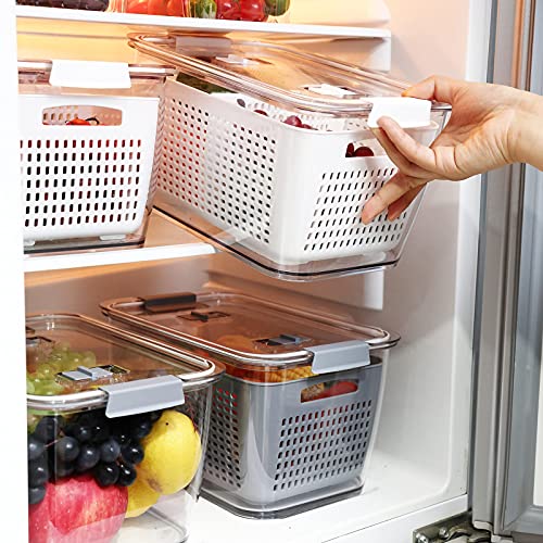 REFSAVER Fruit Storage Containers for Fridge Fresh Vegetables