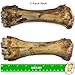 Baxter Boy Premium Grade Roasted Meaty Beef Shin Bone Dog Treats (3 Pack) – 8” Long Lasting All Natural Gourmet & Healthy Dog Bone Treat Chews – Tasty Smoked Beef Flavor