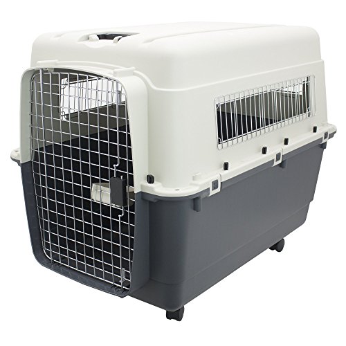 What Size Dog Crate Should You Get and Which Type Is Best?