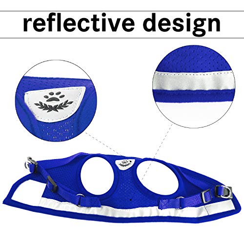 Kamots Beauty Escape Proof Cat Harness and Leash for Walking Adjustable Soft Mesh Pet Vest with Lead for Kitten Puppy Rabbit -(S,Blue)