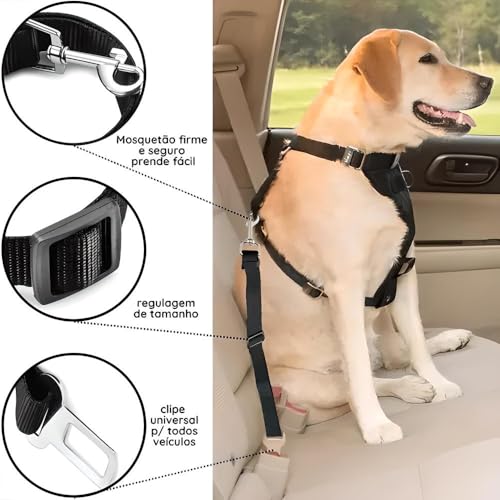 Cinto de Segurança para Animais de Estimação, Coleira e Colete com Fivela Ajustável, Resistente para Cães e Gatos