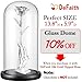 DEFAITH Silver Dipped Real Rose, Best Gifts for Her 25th Anniversary Valentine's Day Christmas Mother's Day - Sterling Silver Rose with Stand