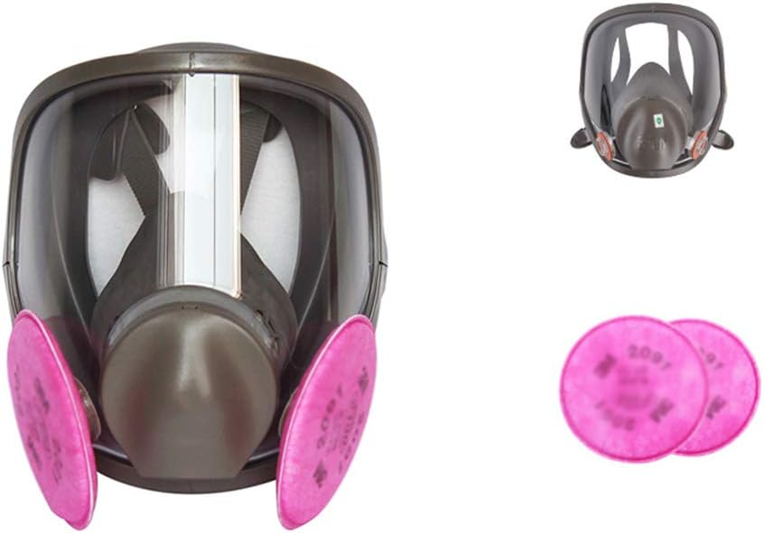 Gas Mask Full Face Respirator With Comprehensive Protective, Dual Air Filter Element, For Bacterial Smoke And Industrial Dust Protection For Various People