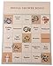 Bridal Shower Party Game Set - Bingo - Engagement Diamond Ring Shaped Bingo Chips that Doubles as Wedding Table Confetti - Bingo Cards for 24 Guests