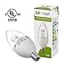 Lighting EVER 5 Watt Dimmable E12 LED Candle Bulb, 40W Incandescent Bulb Equivalent, High End Nicha LED, Warm White, Pack of 10 Units