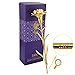 Ranipobo Sweetly Carnations Flower Mother's Day Gift 24K Gold Plated Decoration Golden Flowers 