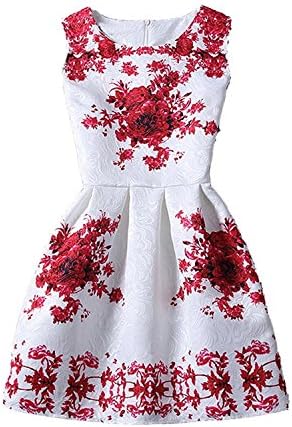 worlsky fashionable Womens White Contrast Blue Porcelain Print Flare Sleeveless Vintage Floral Dress 60092Large