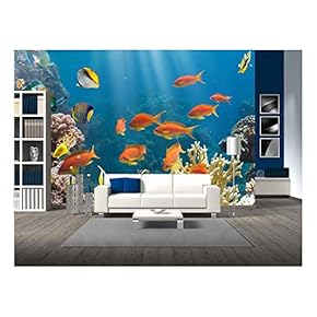 Coral and Fish in The Red Sea.Egypt - Removable Wall Mural | Self-Adhesive Large Wallpaper - 66x96 inches
