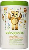 Babyganics Alcohol-Free Hand Sanitizer Wipes, Mandarin, 100 Count canister (Pack of 2), Packaging May Vary