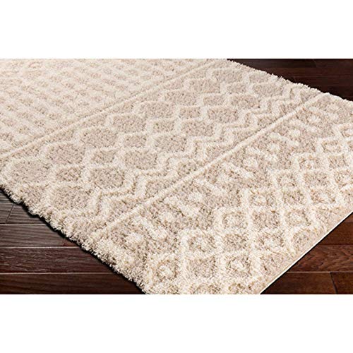 Prompton 2' x 3' Moroccan Farmhouse Shag Bohemian Area Rug