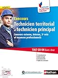 Concours Technicien territorial et technicien principal (Intégrer la fonction publique) N°46 - 2017 (CONCOURS ADMINISTRATIFS) (French Edition) by 