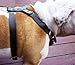 Leather Spiked Dog Harness Large Black 26