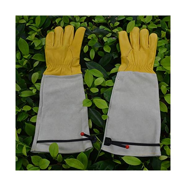 cactus gloves home depot