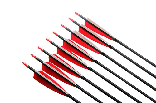 image for PG1ARCHERY 30 Inch Archery Hunting Target Arrows, Carbon Arrows 5