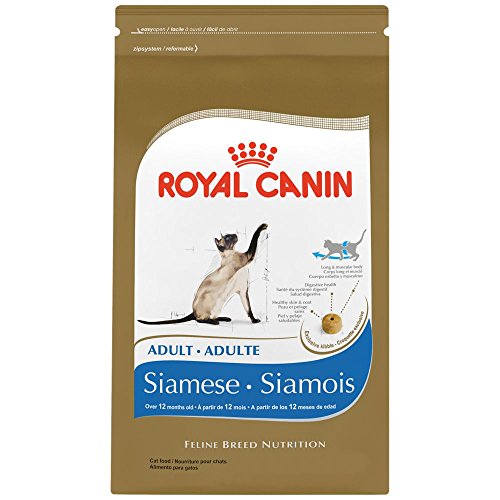 royal canin siamese cat food