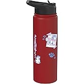 Snoopy And Siblings Retro Fun Stainless Steel Insulated Water Bottle