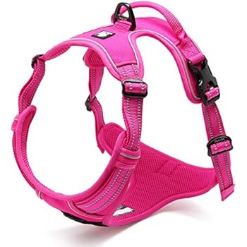 Chai's Choice Best Outdoor Adventure Dog Harness (Large, Fuchsia)