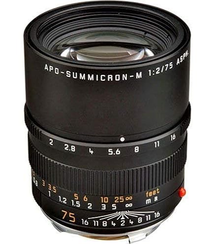 Amazon.com : Leica 75mm f/2 Summicron-M Aspherical Manual Focus