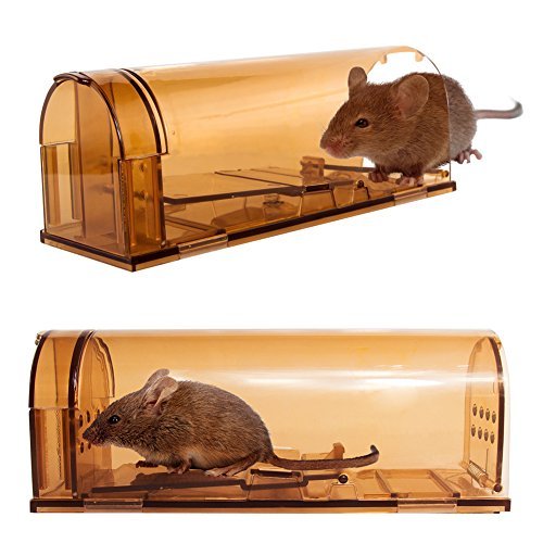Signstek Pack of 2 Plastic Humane No Kill Mouse Trap with Air Hole, Reusable Smart Small Mice Trap Device Live Catch for Mice, Rat or Rodents (Brown)