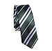 Dress Shirt Tie Adult and Kids Halloween Costume Cosplay Accessoy USA (Slytherin No Icon)