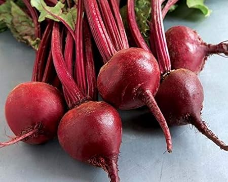 Splendour Seeds - Beetroot Seeds Kitchen Garden Vegetable Seeds
