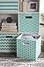 DII Polyester Cube Storage Collection Collapsible Hard Sided Bin, 13x13x13, Aqua