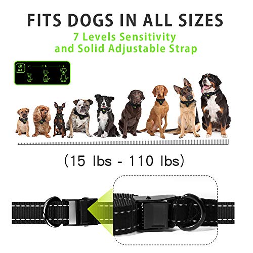 ZGO Dog Bark Collar - Bark Control Training Collar w/2 Modes Beep Vibration & w/or w/o Shock for Small Breed Medium and Large Dogs ZGO-165 Rechargeable Anti Bark Collar Smart Detection Module