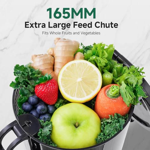 AMZCHEF Cold Press Juicer with 165mm Large Feed Chute, Slow Masticating Juicer for Whole Fruits & Vegetables, Triple Filter, Copper Motor, High Juice Yield, Easy to Clean, Grey