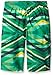 Kanu Surf Big Boys' Energy Swim Trunk, Green, Medium (10/12)