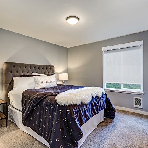 image for CHICOLOGY Deluxe Free-Stop Cordless Roller Shades No Tug Privacy Windo