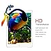 DUNNO New iPad 9.7-Inch Screen Protector 2017/2018, Ultra Thin 9H HD Tempered Glass Screen Protector for Apple iPad Air/Air 2,iPad Pro 9.7(2016)/New iPad 9.7 (2017/2018) - Clear (2-Pack)