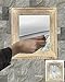Q-BICS Flexible Mirror Sheets 7