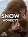 Nature: Snow Monkeys