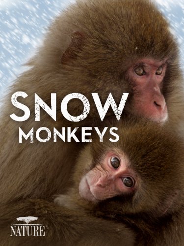 Nature: Snow Monkeys