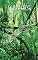 Livro SD Serving: Doutrina da Floresta