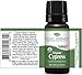Plant Therapy Organic Cypress Essential Oil 10 mL (1/3 oz) 100% Pure, Undiluted, Therapeutic Grade
